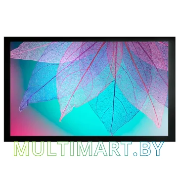 Проекционный экран CACTUS FrameExpert 124x220 (CS-PSFRE-220X124)